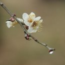 풍호정 | 나주 풍호정(風乎亭)