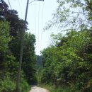 모산봉등산로 이미지