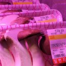 동창식육식당 이미지