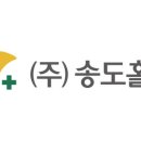(주)송도홀론