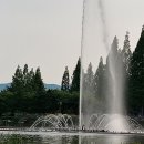 굿모닝교육여행사 이미지