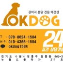 강아지PC 이미지