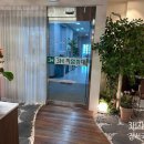 3H지압침대 강서국제센터 네이버블로그