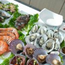 마돈나 | 홍성 축제 제대로 즐기기 좋은 곳｜홍성 새조개축제·홍성남당항 방문해서 마돈나수산 다녀온 후기 ㅎㅎ