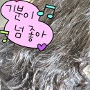 크레숑 | 수성구 미용실는 황금동 여기여기! 8년째 다니고 있는 찐 후기(황금동크레숑)