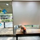 푸른숲동물병원 이미지