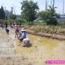 버들농장 이미지