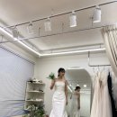 에밀리디 브라이덜(Emily D. Bridal) | 우리의 결혼 드레스, 맞춤정장 투어 일지 (모드니드레스,메리코인비,에밀리디 브라이덜,테일러블)