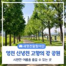 신녕천 이미지