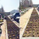 시기동 주민센터 이미지