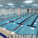 망고키즈수영장 양산점 이미지