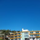 해피트리 고사포점 이미지