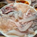 해뜨는집 이미지