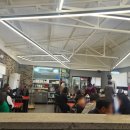 돌콩해물쟁반짜장 이미지