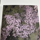 광운대 오케스트라 다카포 DaKAPO 제12회 연주회 ephemera 관람 후기