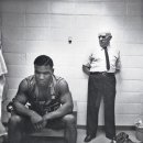 복싱임팩트 이미지