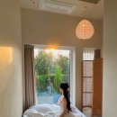 제주보홀 이미지