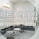 민트속눈썹