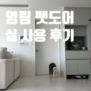 나음펫 | [인테리어] #17 - 강아지 펫도어 추천? 비추천? 직접 써본 솔직 후기 🐶 (feat. 영림 펫도어)