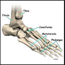 스윙의 기초 이미지