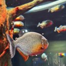 대화로 | 대화로 이어지는 진짜 인연, 티키타카 소개팅 후기