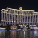 보태니컬 | 라스베가스 벨라지오 분수쇼 시간 및 보태니컬 가든 후기