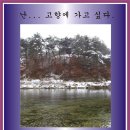 감자바우