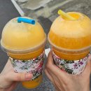요망진시온청과