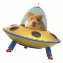 닭갈비와지짐이 이미지