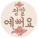 아이즈 안경(EYES 안경) 이미지
