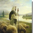 푸른잔디 이미지