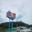 선사랑 놀자 | 양양 대게 맛집 쏠비치에서 도보 3분거리 '놀자대게 본점' 가성비 세트 덕분에 배터진 내돈내산 솔직...