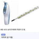 365뷰티홀릭바이오포톤 | 인천 논현동 소래포구 누워서 하는 다이어트 365 뷰티홀릭 바이오포톤