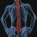 대구시티병원 이미지