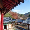 성륜사 | 성륜사 방문 후기: 한적한 산 속의 평화로움을 느꼈다