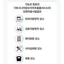 셀포랩올레