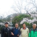 이영기 Daum카페