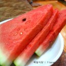 제일식당 앞 이미지
