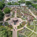 장미의거리4 이미지