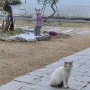 (주)메가마트 언양점 | 26년 4월 첫번째 주말 일상 후기 울산 울주군 펜션 놀러갔다온 후기 생생후기