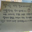 미미네탕후루 이미지