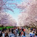 경화동(경화역방면) 이미지