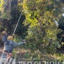 자연철물 이미지