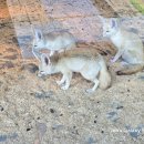 창녕-이방-창녕센터-11 | 창녕 어디까지 가봤어?