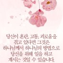플랜마스터