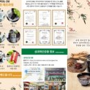 매일과채