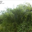 집현면1 이미지