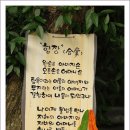 004-조리-004 이미지