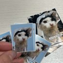 반려동물의상제작 | 반려동물 키링 제작 후기｜펫모티콘에서 고양이 휴대폰아크릴키링 굿즈 만들기