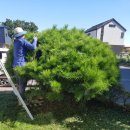 두리조경 이미지